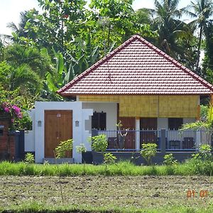 Murnis Bungalow